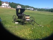 Voiture antique pour cheval