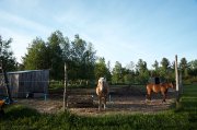 Fermette 100 arpents avec écurie 10 box, Ste-Sophie, Qc.