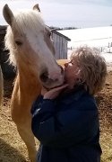 Haflinger 6 ans (guilding) à vendre