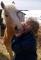 Haflinger 6 ans (guilding) à vendre