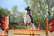 Cours d'équitation, entrainement, demi-pension et...