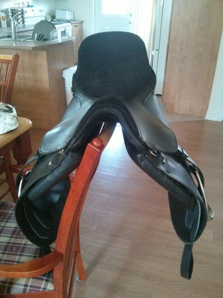 Très belle selle anglaise avec un tapis et une bride