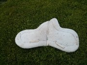 Très belle selle anglaise avec un tapis et une bride