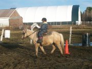 Cours d'équitation