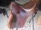 Selle de TREC Forestier - 2012