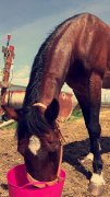 Slim se chercher une famille