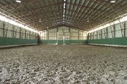 Pensions pour chevaux
