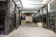 Pensions pour chevaux