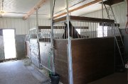 Pension pour 1 cheval à LaDurantaye dans Bellechasse