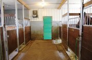 Pension pour 1 cheval à LaDurantaye dans Bellechasse