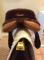 Selle de saut Pessoa à vendre! NÉGOCIABLE****