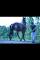 Super hongre Warmblood de 3 ans