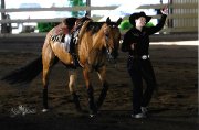 Cours d'équitation Western ou tour de poney 