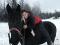 Midnight sans selle hiver 2014