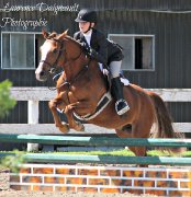 Poney à vendre