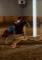 Tapis Bleu Azur Taille Cheval a Vendre