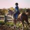 Tapis Bleu Azur Taille Cheval a Vendre