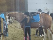 Tapis Bleu Azur Taille Cheval a Vendre