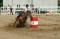 Cours d'équitation Western,  entraineur reconnuu...