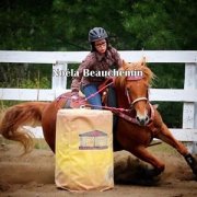 Cheval à vendre ou demi-pension !