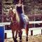 Cheval à vendre ou demi-pension !