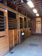 Pension pour chevaux
