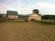 Pension pour chevaux