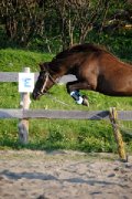 Ponette Welsh prospect saut