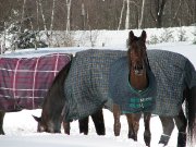 pension a magog
