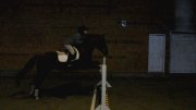 Large ponette offerte en tier ou demi-pension ST-BASILE