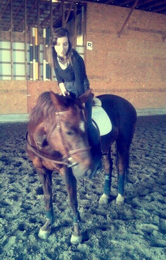 Large ponette offerte en tier ou demi-pension ST-BASILE