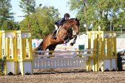 Schoolmaster jumper Holsteiner 