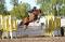 Schoolmaster jumper Holsteiner 