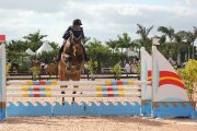 Schoolmaster jumper Holsteiner 