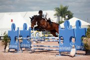 Schoolmaster jumper Holsteiner 
