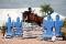 Schoolmaster jumper Holsteiner 