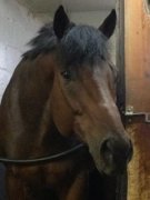 Untouchable star tb de 10 ans