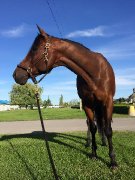 Untouchable star tb de 10 ans