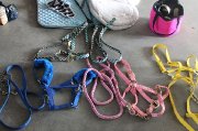 Tapis de selle, polos, licols/laisses À...