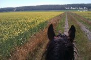 pension 12 min de Trois-Pistoles, 30 min de...