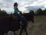 Jument canadienne enregistrer