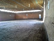 Demi-pension offert sur cheval de dressage Européen 