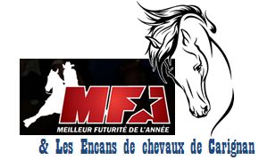 Encan de chevaux de baril - 3 octobre 11am