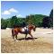 Classique automnale de Bromont 2015