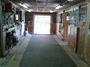 Pension de chevaux et chambre à louer sur place