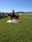 *2 POUR 1 * DOIVENT PARTIR 2 CHEVAUX QUATER-HORSE