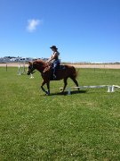 *2 POUR 1 * DOIVENT PARTIR 2 CHEVAUX QUATER-HORSE