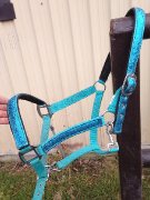 Licou neuf bleu brillant