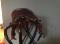 Selle classique 14.5