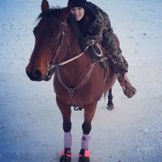 Jument QH à vendre